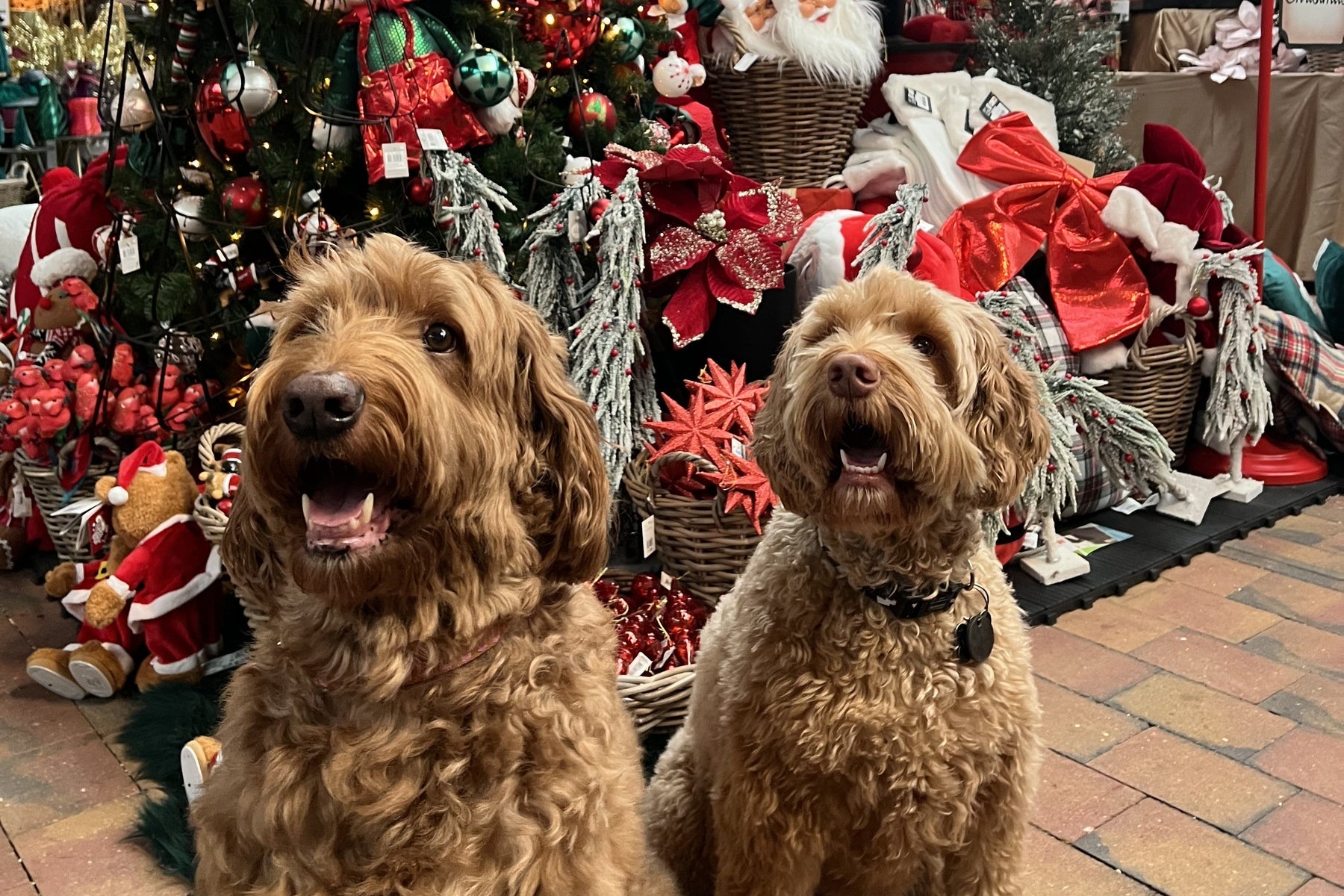 10 cadeaus voor onder de kerstboom