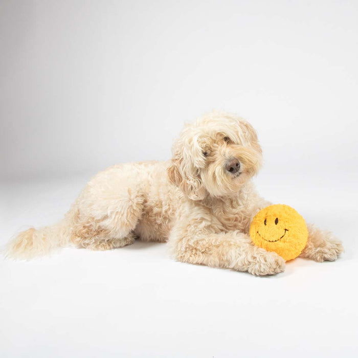 Coockoo Knuffelspeeltje GIGGLY GARY Geel