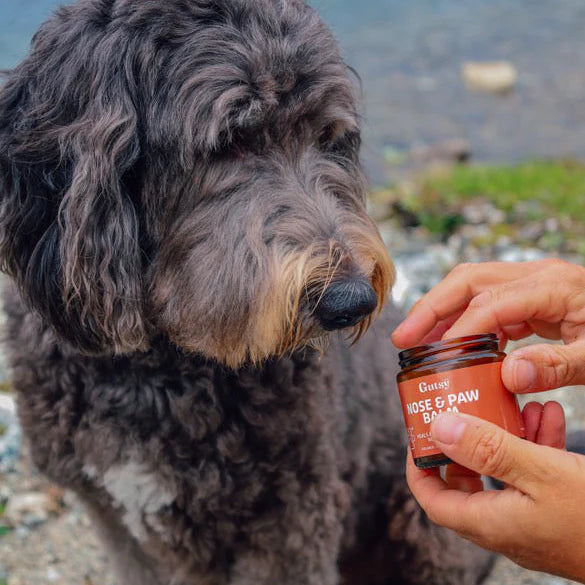 Gutsy's Nose and paw balm