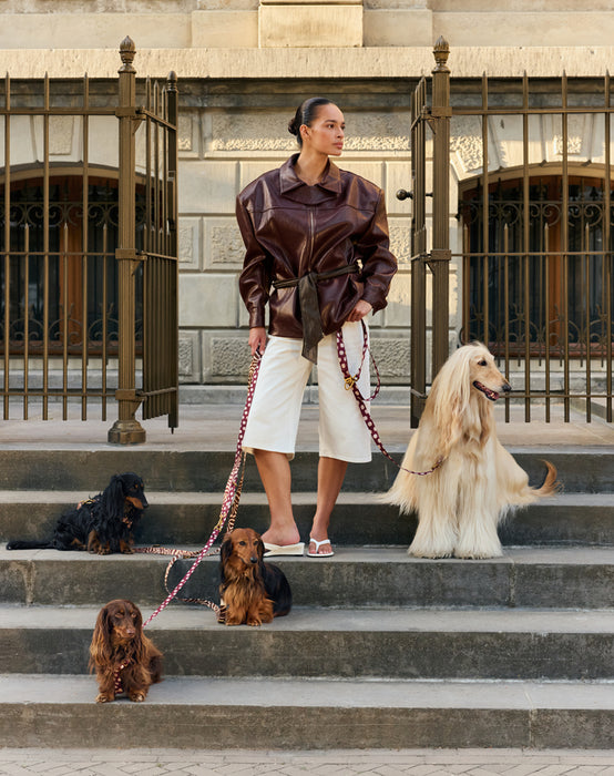 DOGGUO Hondenriem Ethnic Bruin/Perzik