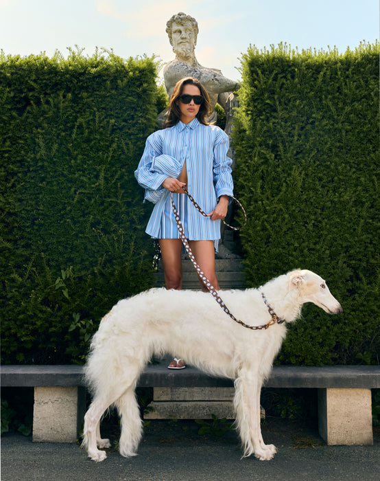 DOGGUO Hondenriem Stip Bruin/Blauw