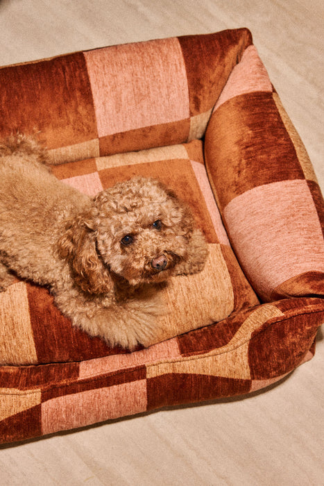Dogguo hondenmand Blok Bruin/Peach