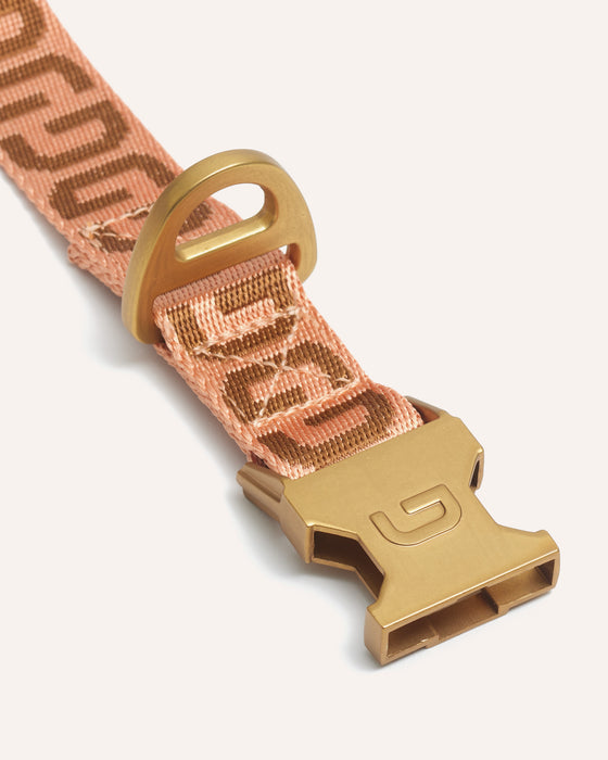 DOGGUO Halsband - DG - abrikoos/bruin