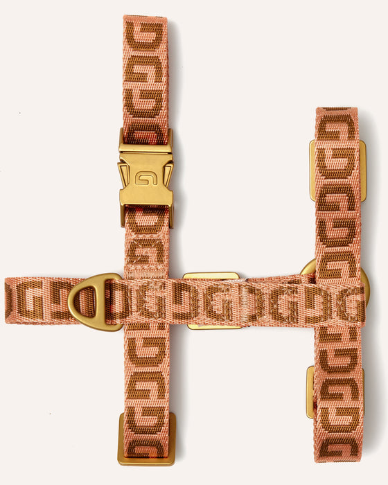 DOGGUO hondentuig - DG print - abrikoos/bruin