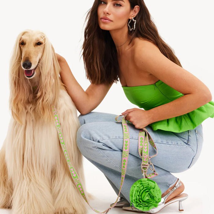 DOGGUO Halsband - print - groen