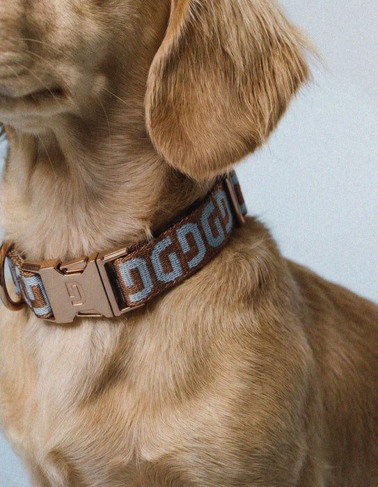 DOGGUO Halsband - DG print - bruin/blauw