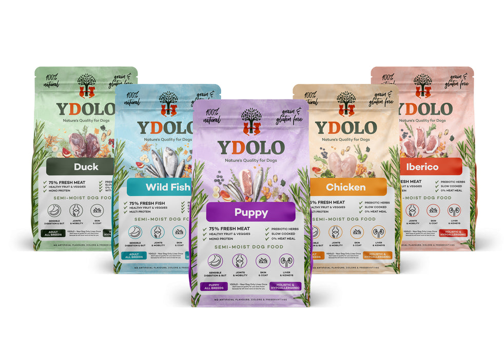 Ydolo Healthy & Pure Wild Fish