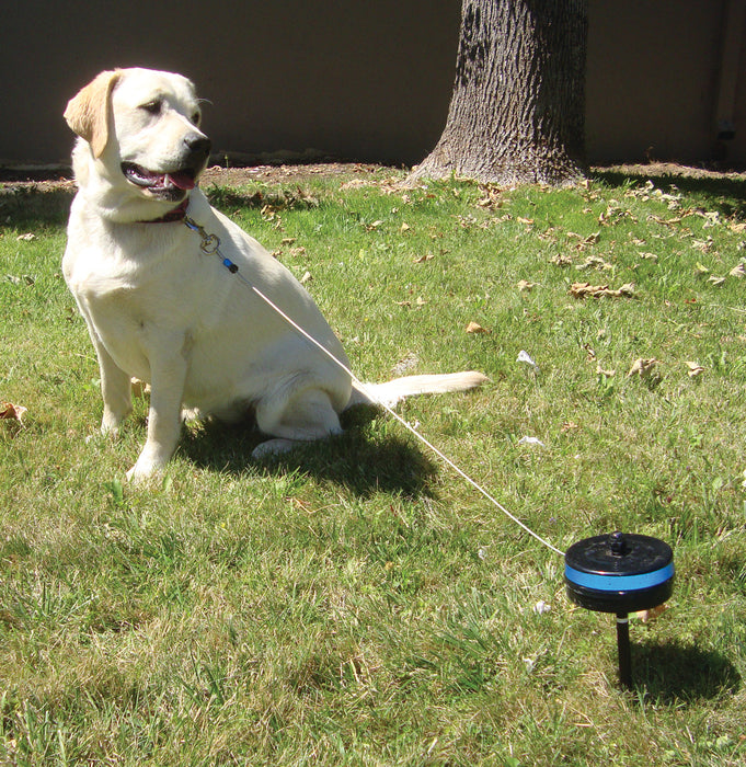Intrekbare Hondenlijn met Staalkabel – 6 Meter