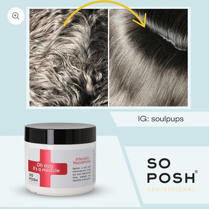 So Posh Intensive Repair Mask voor honden