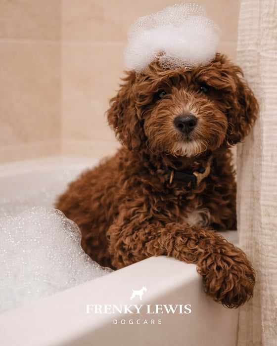 Frenky Lewis Coat Spray - 150ml