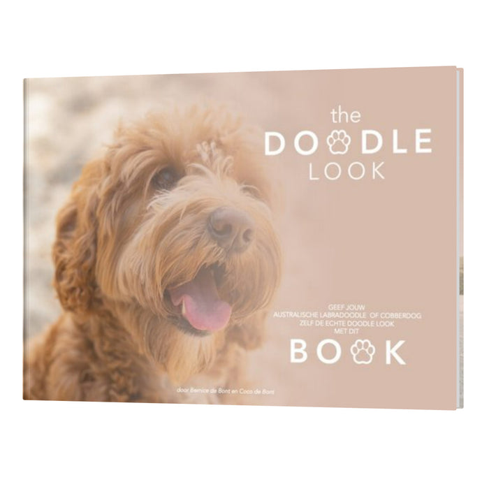 Das Doodle Look Book