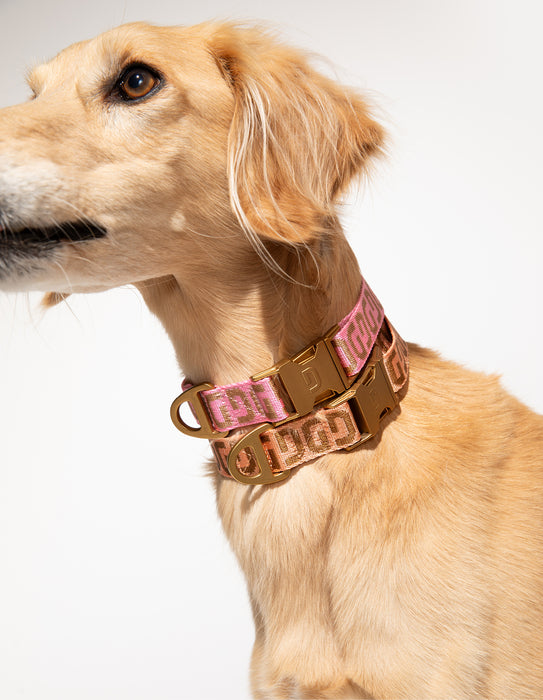 DOGGUO Halsband - DG print - roze/mokka