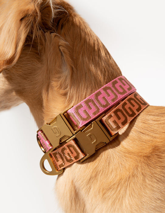 DOGGUO Halsband - DG - abrikoos/bruin