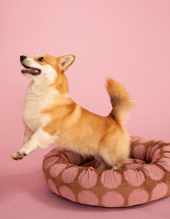 Dogguo ronde hondenmand stip - mokka/roze