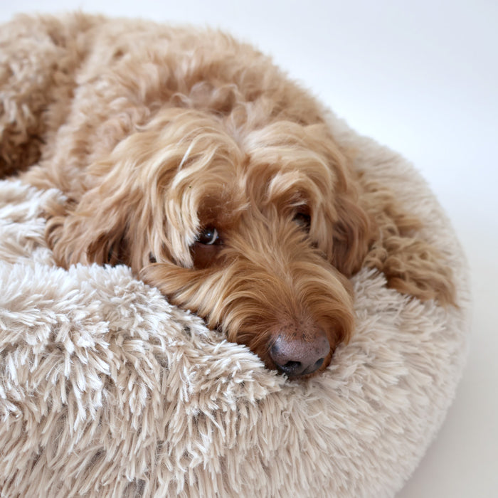 airLOFT Donut Hundebett beige