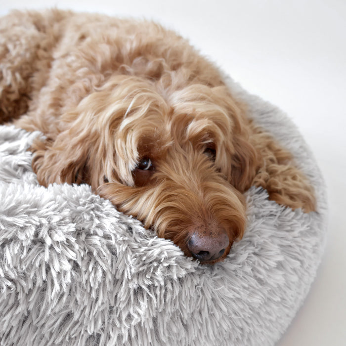 airLOFT Donut Hundebett grau