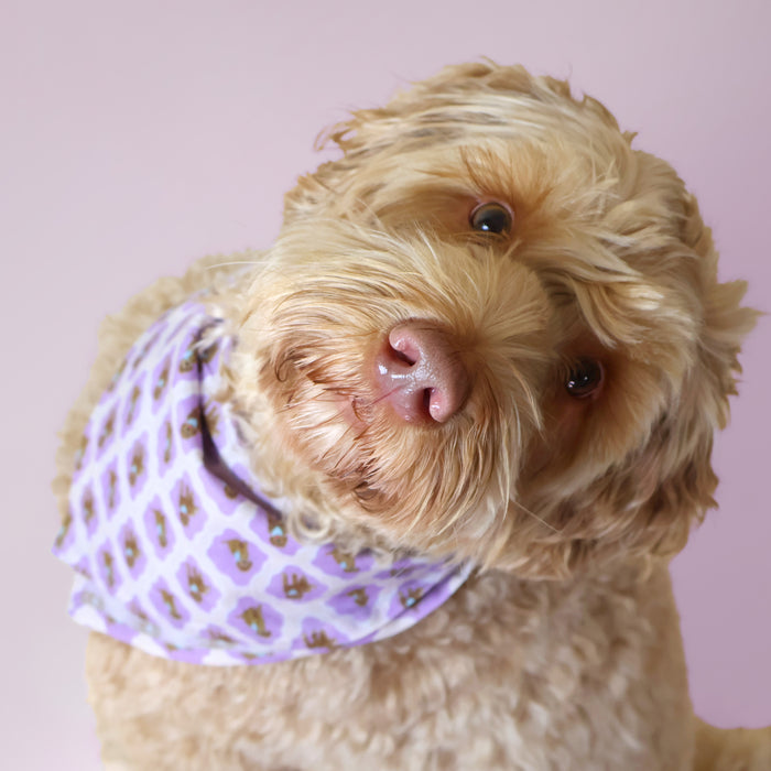 Doodle print sjaaltje/bandana Studio Brai x Furry Original