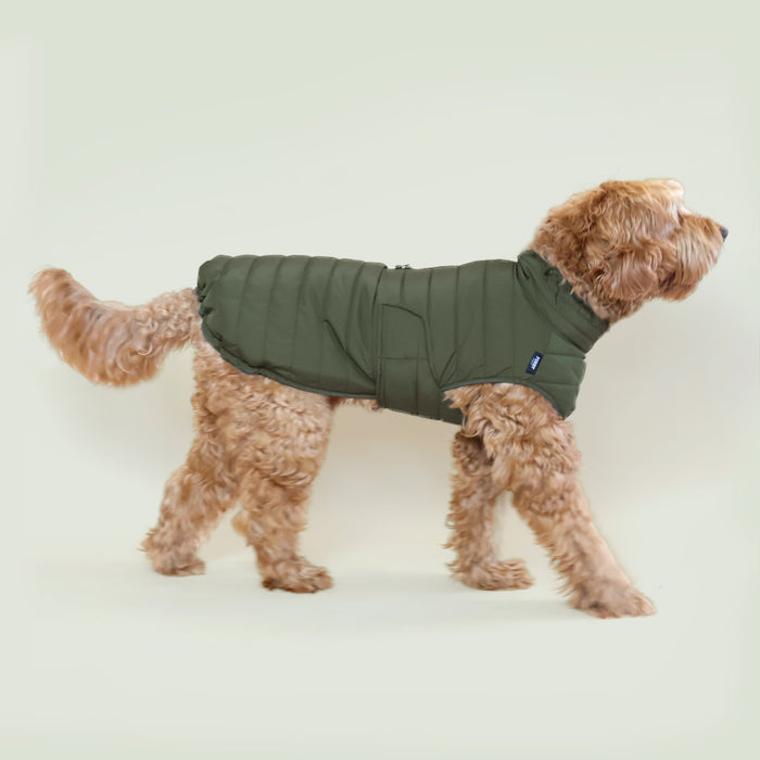 Air puff hondenregenjas donker groen Furry Original