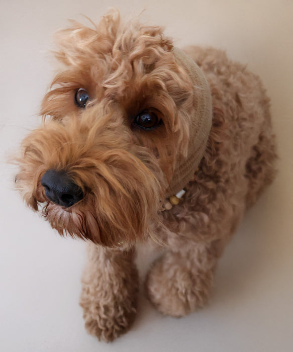 Honden oorbeschermers waterblazer mokka Furry Original