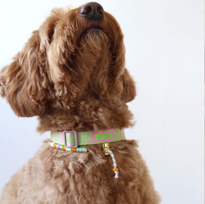 DOGGUO Halsband - print - groen