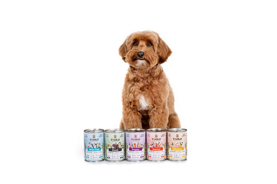 Ydolo Natvoer Iberico