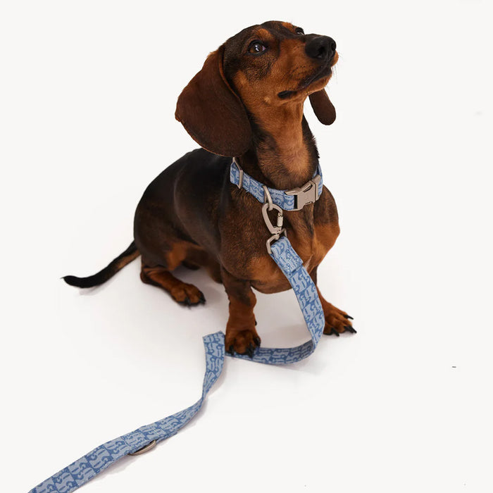 DOGGUO Halsband - denim - blauw