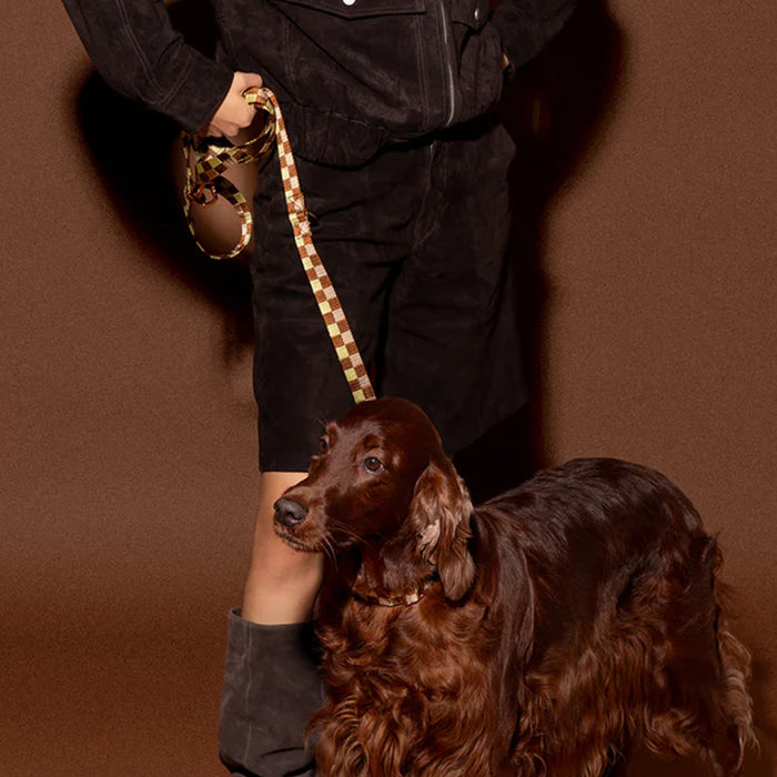 DOGGUO hondentuig - blok print - bruin/geel