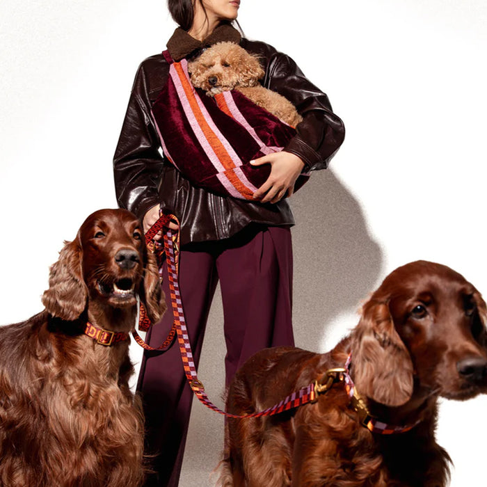 DOGGUO Halsband - blok print - bordeaux/oranje